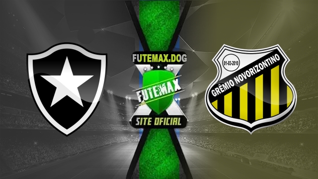 Assistir Botafogo x Novorizontino AO VIVO Online 22/03/2025