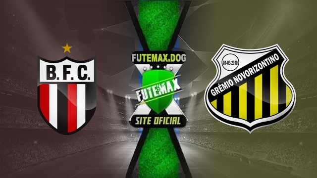 Assistir Botafogo-SP x Novorizontino AO VIVO Online 06/07/2025