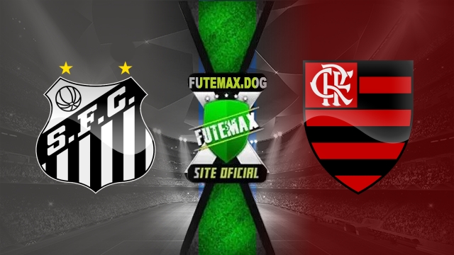 Assistir Santos x Flamengo AO VIVO Online 16/07/2025